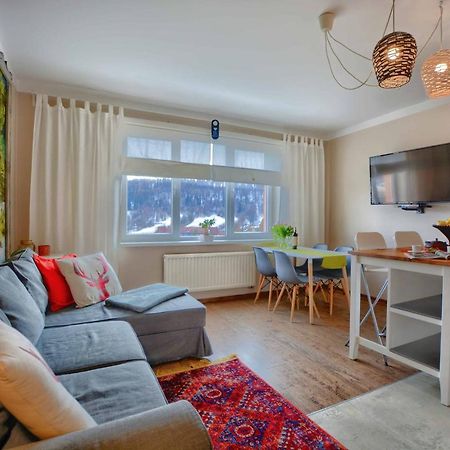 Apartament Zielona Mila Apartment Ustrzyki Dolne Luaran gambar